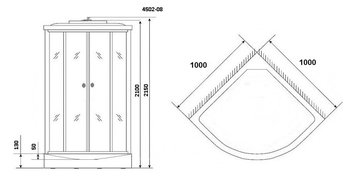 Душевая кабина Niagara NG-4502-14BLACK (100х100х215)