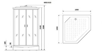 Душевая кабина Niagara Premium NG-6002-01D (1000х1000х2200)