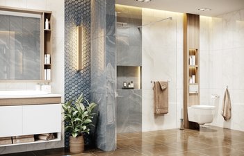 Душевое перегородка Ambassador Walk-in 15031101 (900x2000)