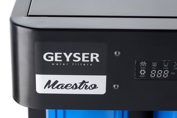 Гейзер Маэстро 2000