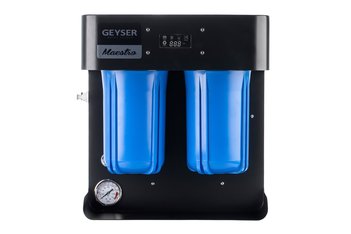 Гейзер Маэстро 2000