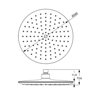 Душевая насадка верхняя круглая, IDDIS, 200SWRPi64