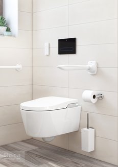 Подлокотник Roca Access Pro 816964009