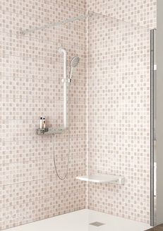 Поручень Roca вертикальный с держателем для душа антибактериальный Access Pro 816981009